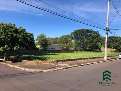 Terreno para Venda, em Ara�atuba, bairro Jardim Nova Yorque