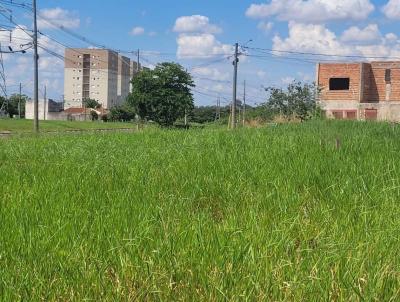Terreno para Venda, em Ara�atuba, bairro CONC�RDIA IV