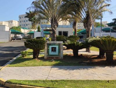 Apartamento para Venda, em Ara�atuba, bairro SANTA LUZIA, 2 dormit�rios, 1 banheiro, 1 vaga