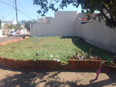 Terreno para Venda, em Ara�atuba, bairro Conc�rdia III